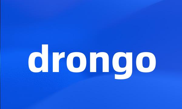 drongo