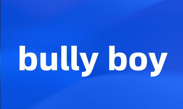 bully boy