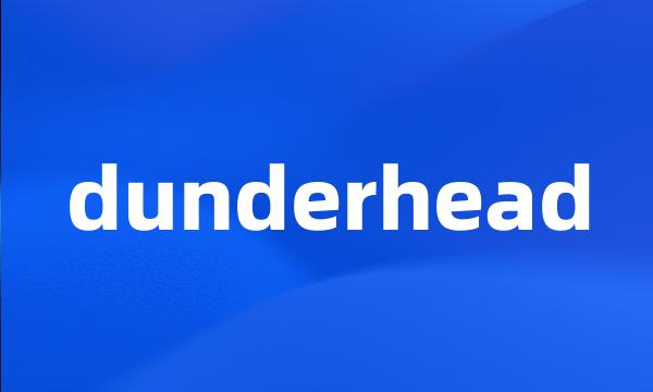 dunderhead