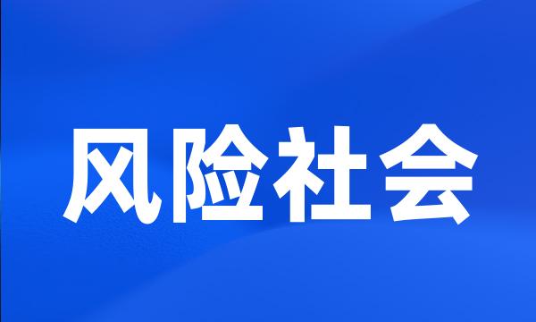 风险社会