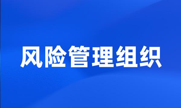 风险管理组织