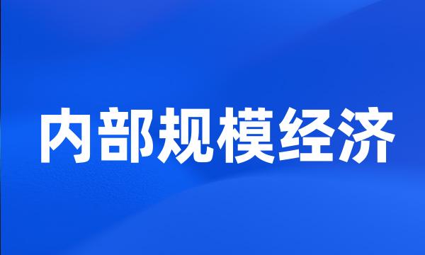 内部规模经济