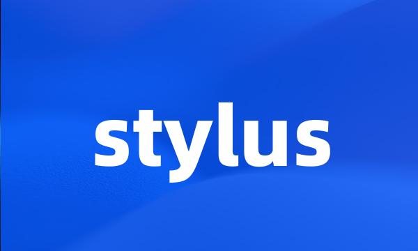 stylus