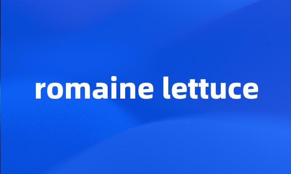 romaine lettuce