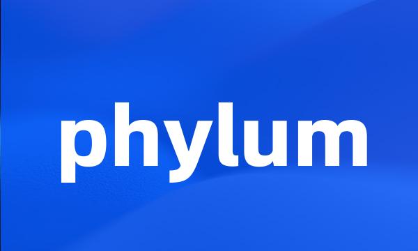 phylum