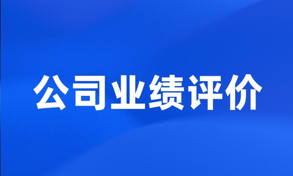 公司业绩评价