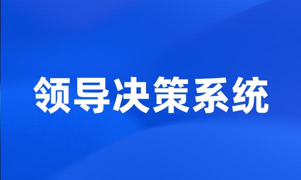 领导决策系统