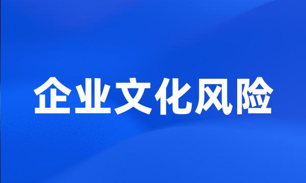 企业文化风险