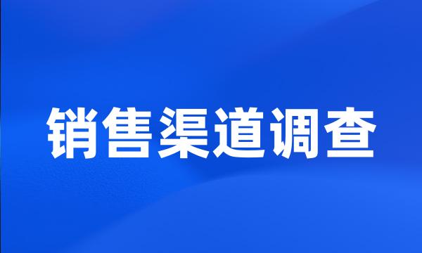 销售渠道调查