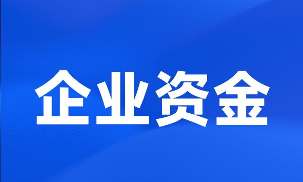 企业资金