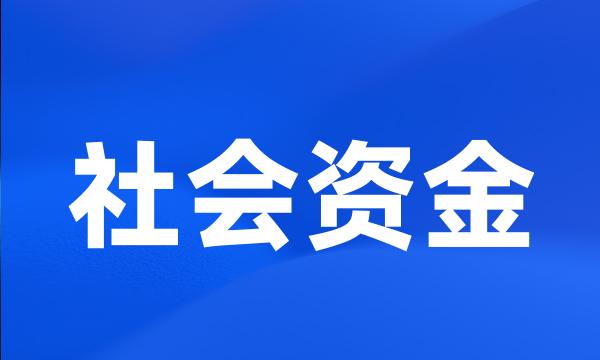 社会资金