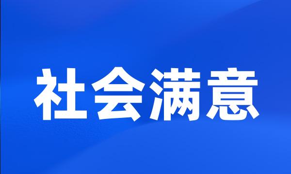 社会满意