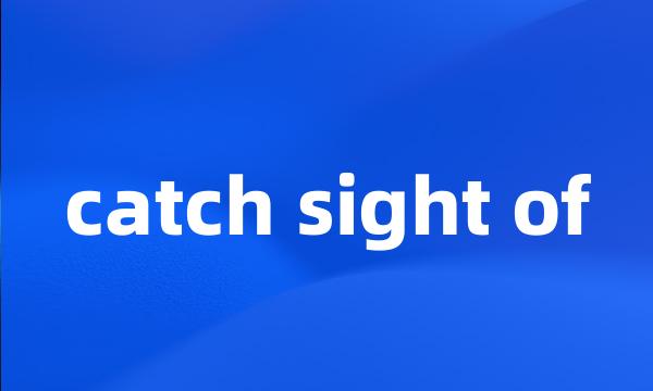 catch sight of