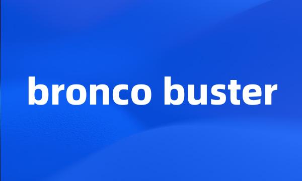 bronco buster