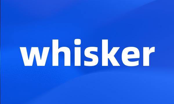 whisker