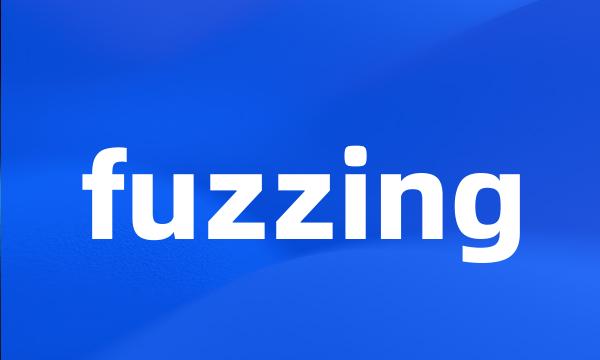 fuzzing