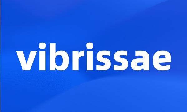 vibrissae