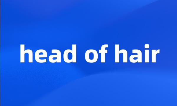head of hair