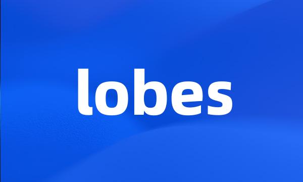 lobes