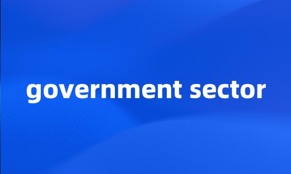 government sector