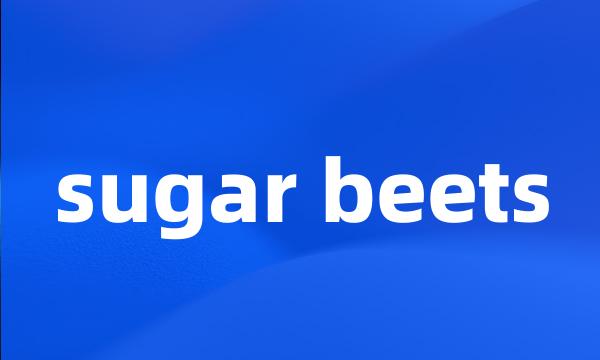 sugar beets