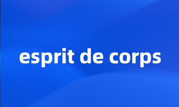 esprit de corps