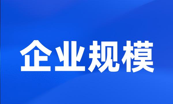 企业规模