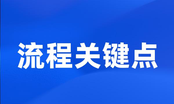 流程关键点