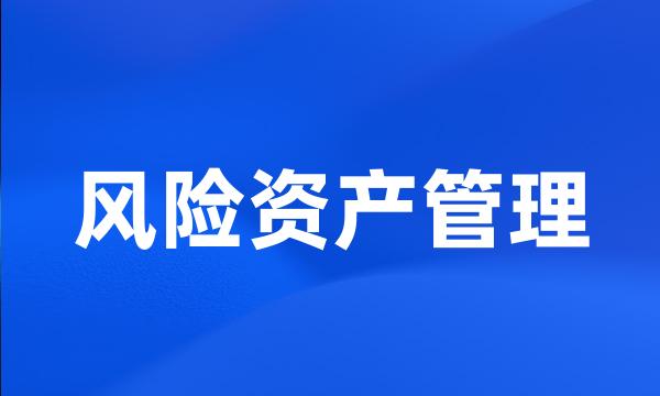 风险资产管理