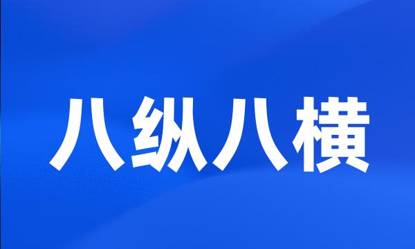 八纵八横