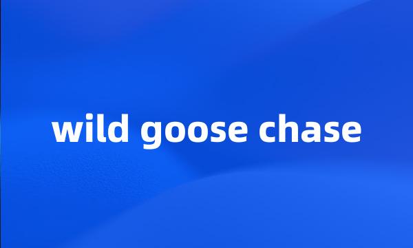 wild goose chase