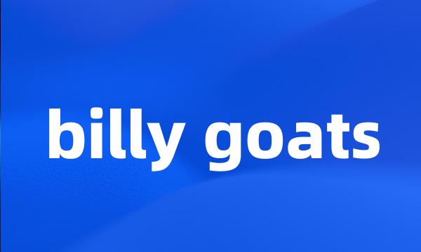 billy goats