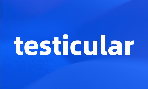 testicular