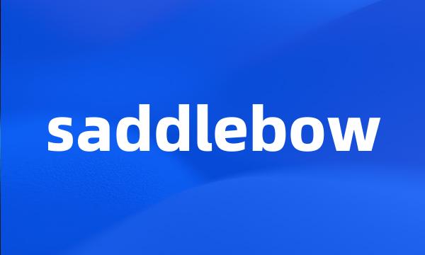 saddlebow