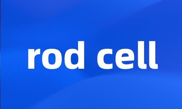 rod cell