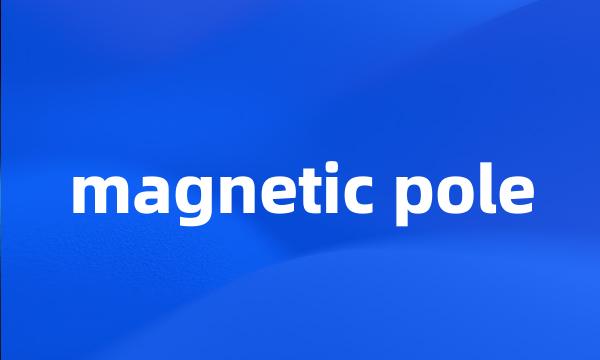 magnetic pole