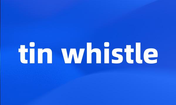 tin whistle