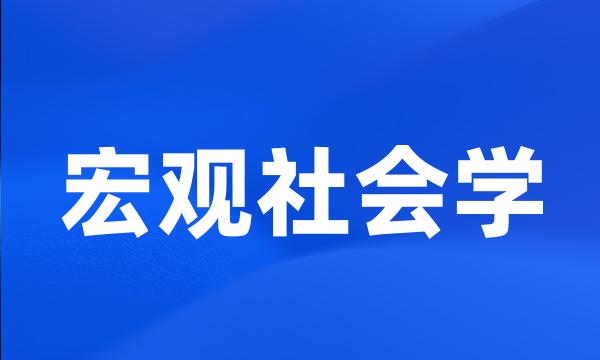 宏观社会学