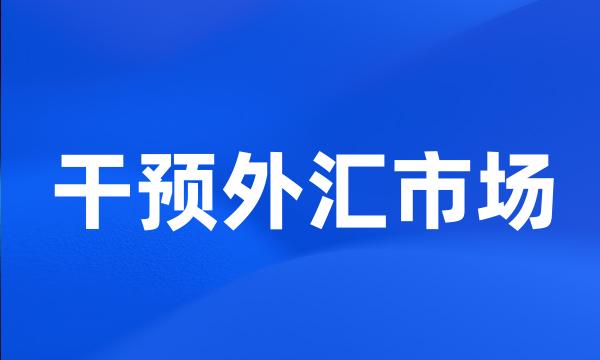 干预外汇市场