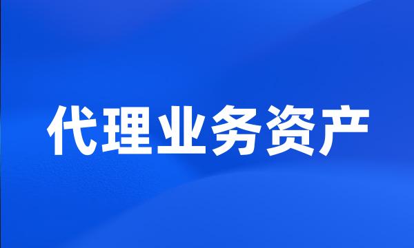 代理业务资产