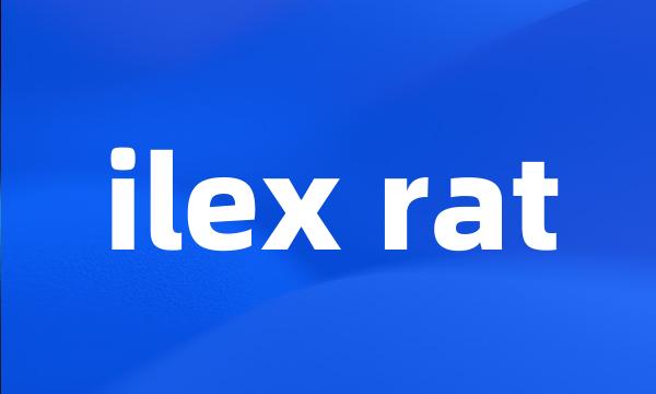 ilex rat