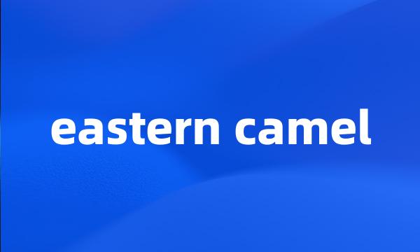 eastern camel