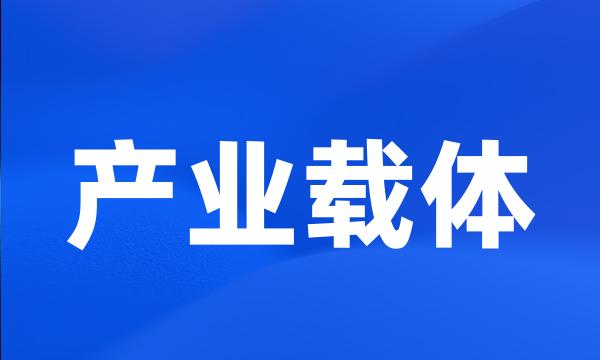 产业载体