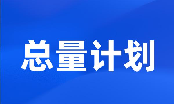 总量计划