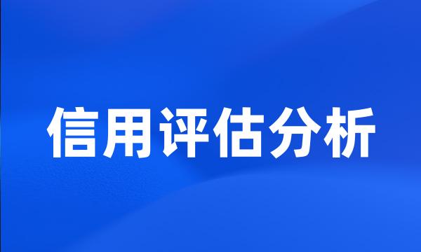 信用评估分析