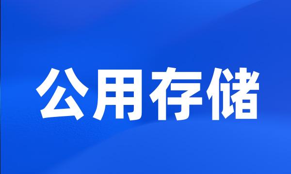 公用存储