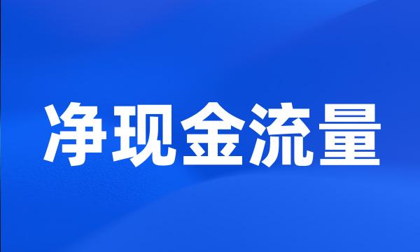 净现金流量