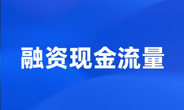 融资现金流量