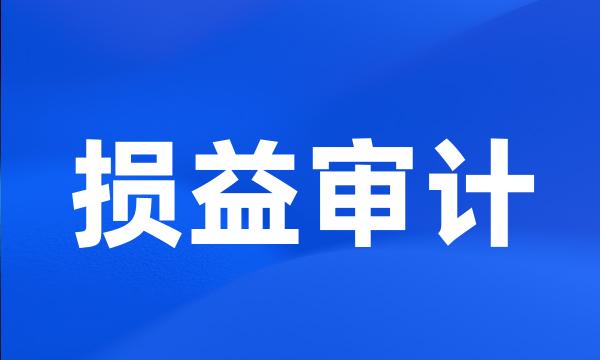 损益审计