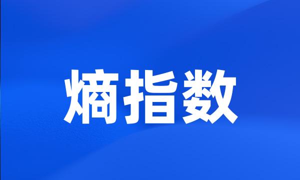 熵指数